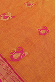 Kanchi Royal Pallu - Dual Tone Orange